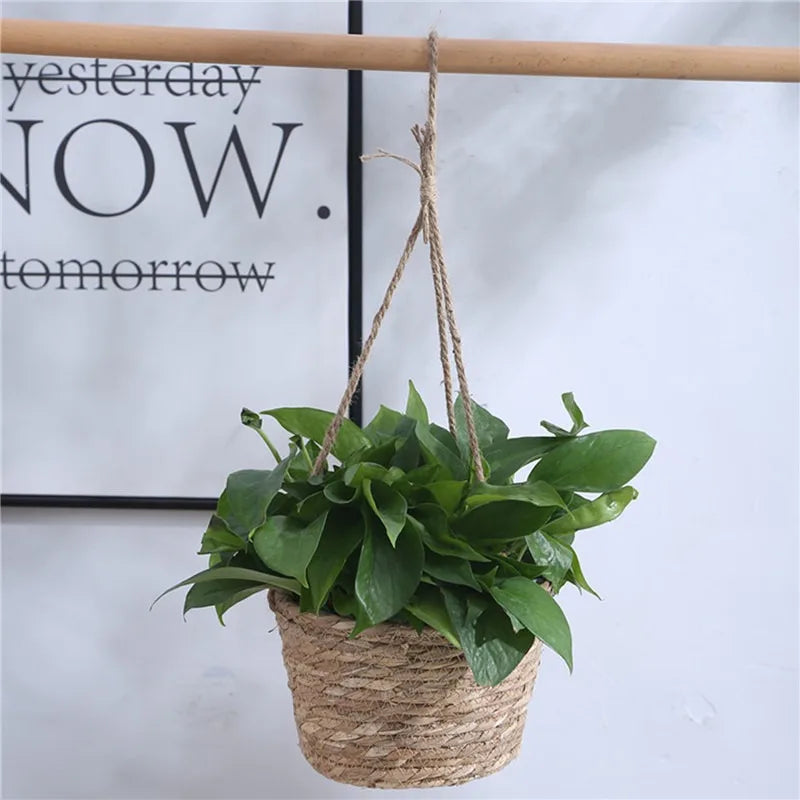 Willow Hanging Woven Planter Basket