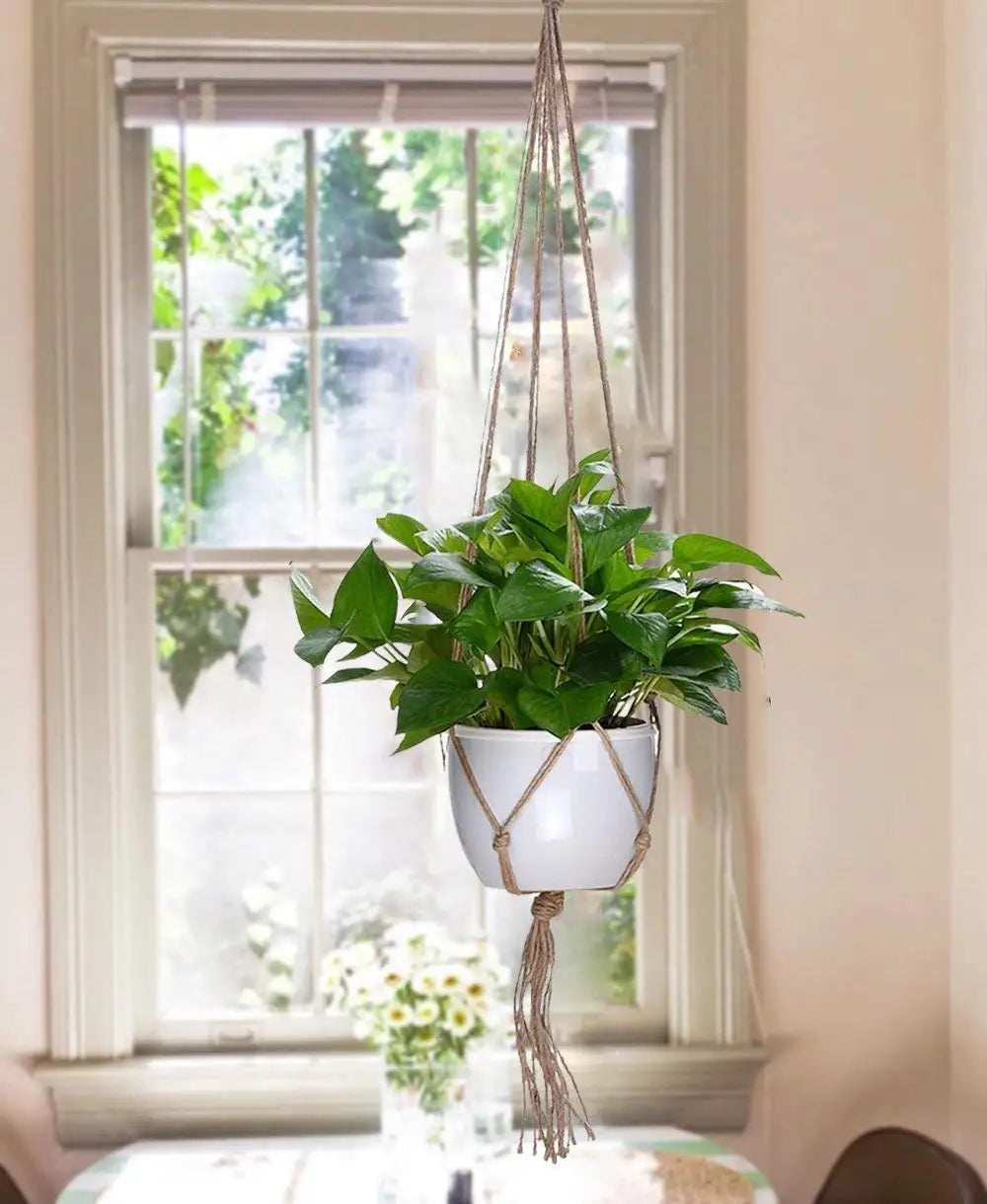 Willow Macramé Plant Hanger Set