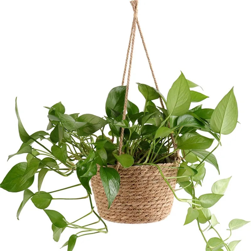 Willow Hanging Woven Planter Basket