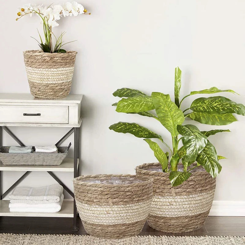 Willow Grove Woven Planter Basket