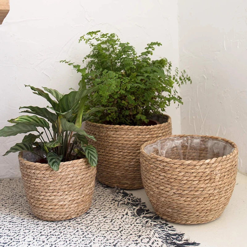Willow Grove Woven Planter Basket