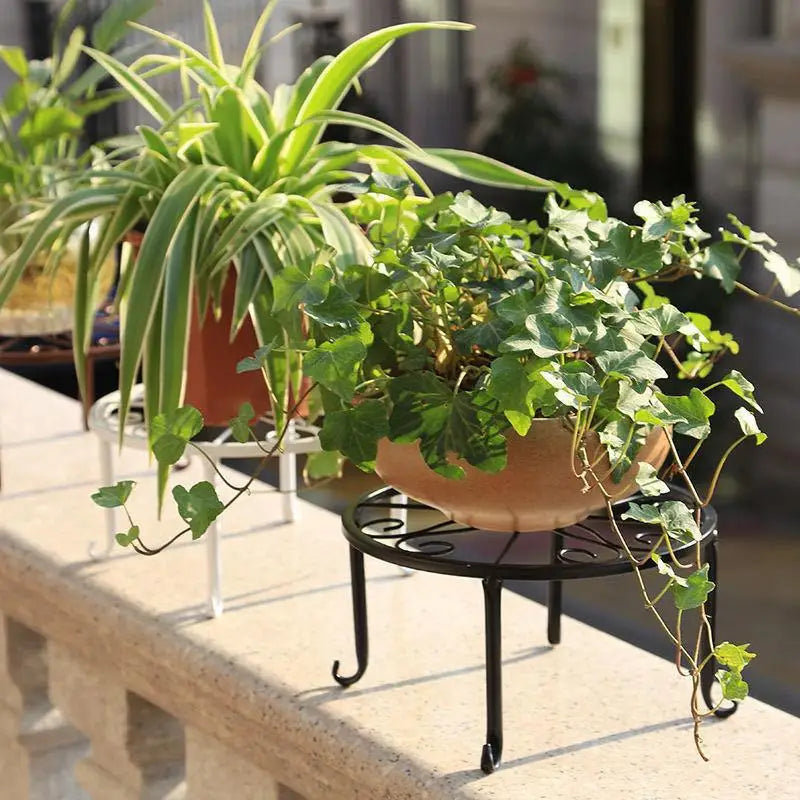 Ridge Iron Plant Stand