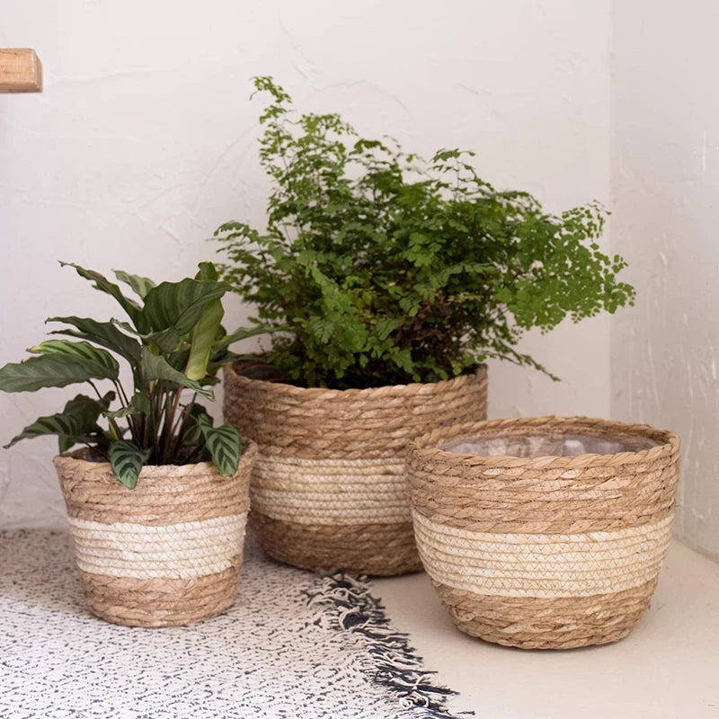 Willow Grove Woven Planter Basket