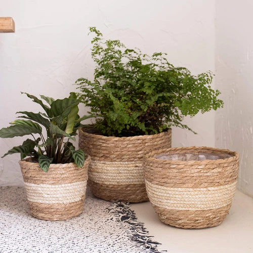 Willow Grove Woven Planter Basket