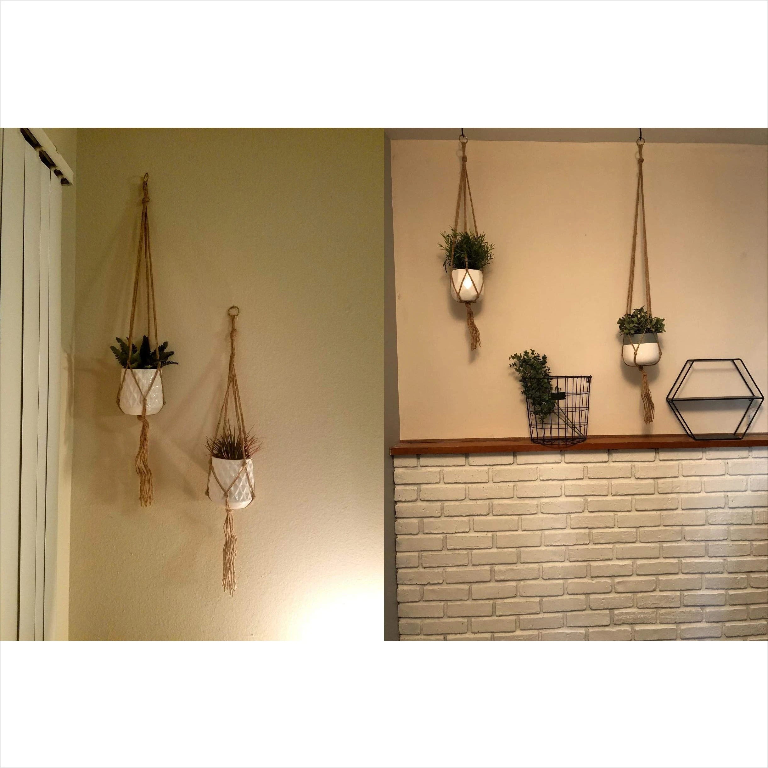 Willow Macramé Plant Hanger Set
